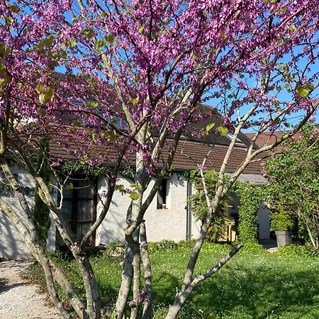 Les Barongeres Bed & Breakfast Farges-les-Chalon Exterior photo